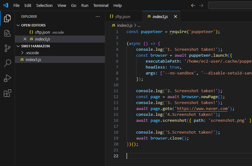 image-20250112231845780