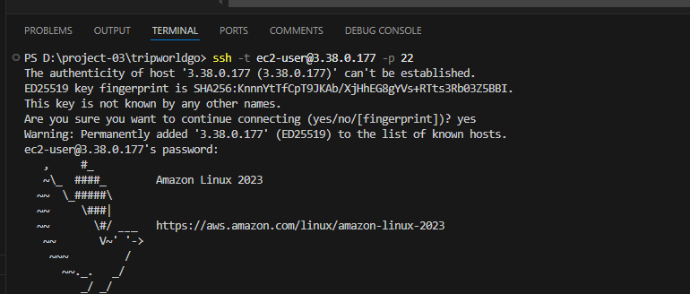image-20250206110138924