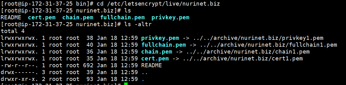 image-20250118132707698