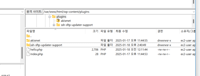 image-20250118162801269