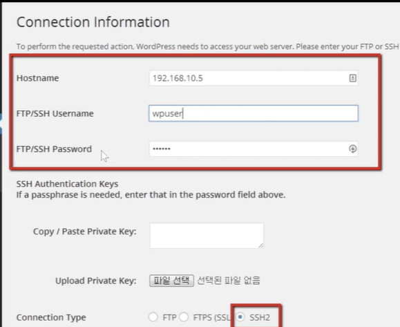 image-20250118181810241