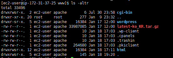 image-20250118192127762