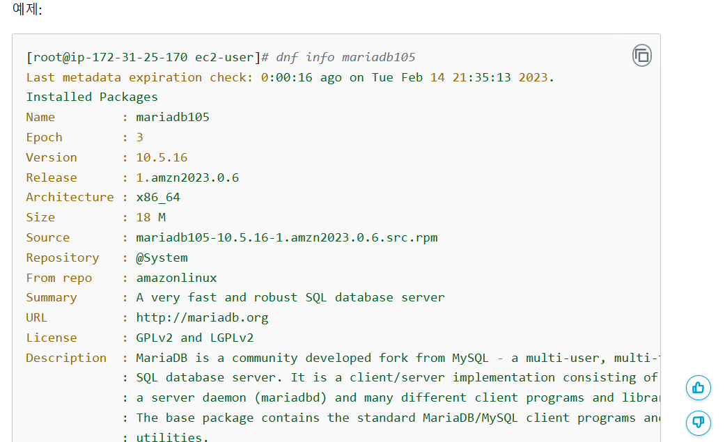 image-20250120121044764