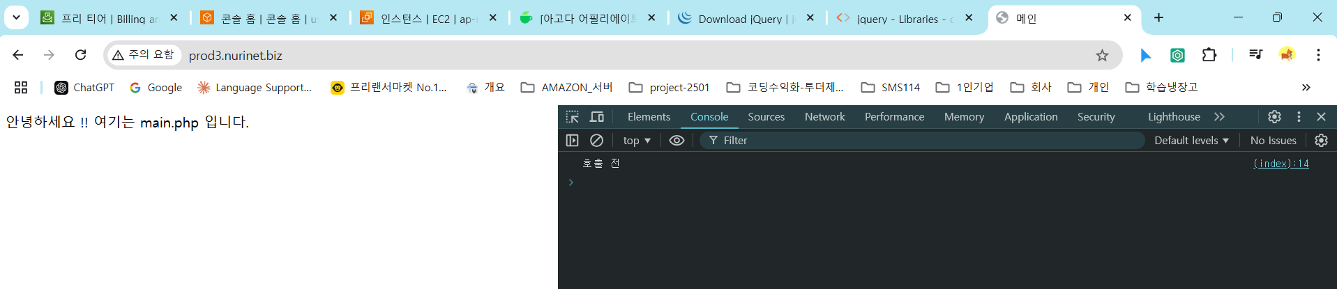 image-20250124210316546